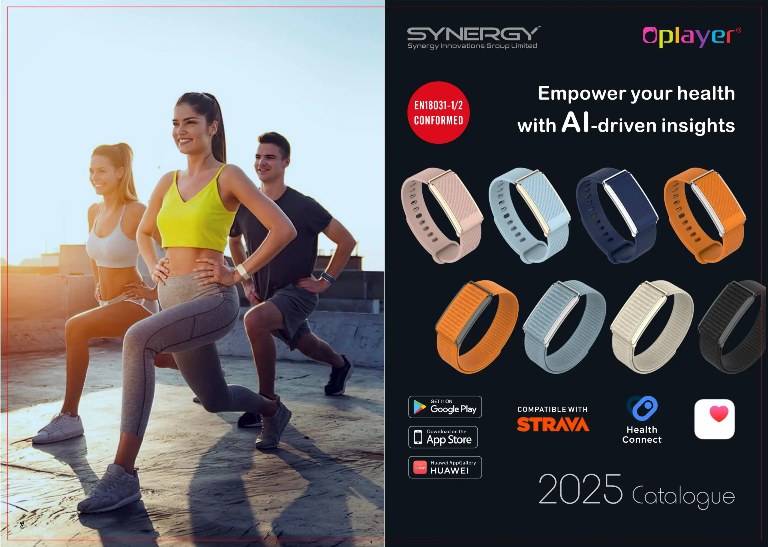 2025 Catalogue Synergy